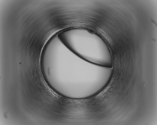 X0000097970932200804141048