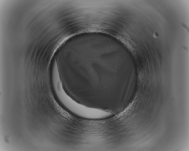 X0000097970934200804141048