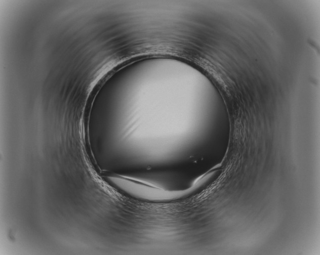 X0000097970936200804141048
