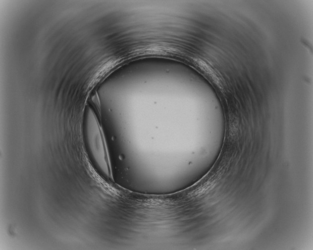 X0000097970938200804141048