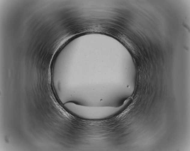 X0000097970940200804141048