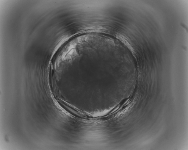 X0000097970941200804141048
