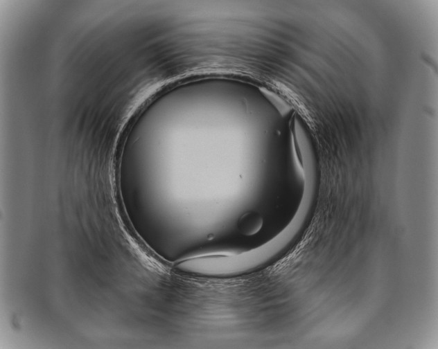 X0000097970942200804141048