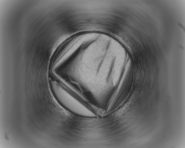 X0000097970943200804141048