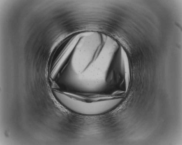 X0000097970944200804141048