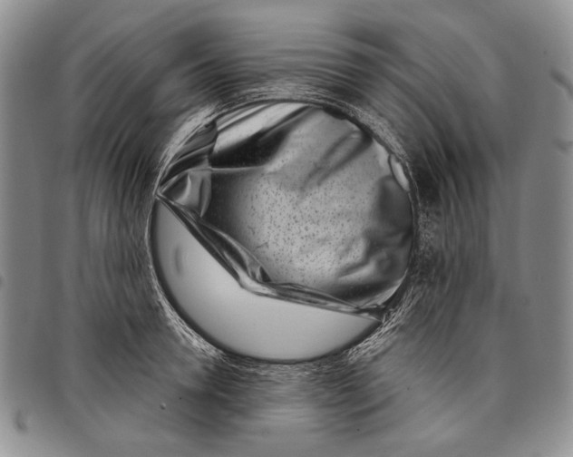 X0000097970946200804141048