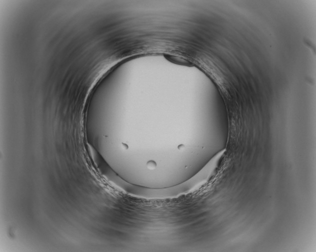 X0000097970948200804141048