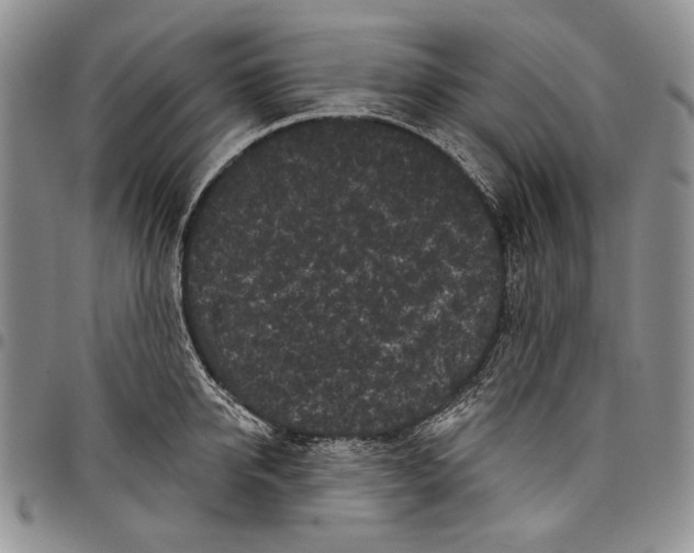 X0000097970950200804141048