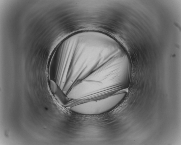 X0000097970951200804141048