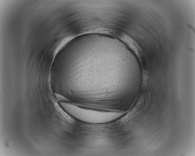 X0000097970952200804141048