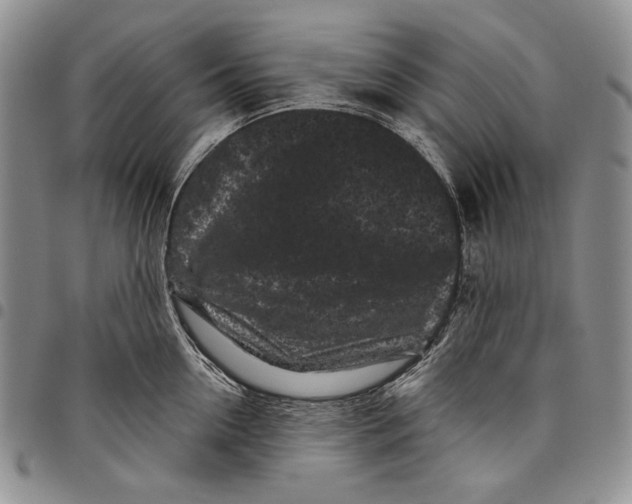 X0000097970954200804141048