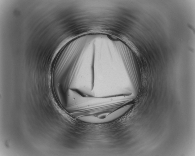 X0000097970955200804141048