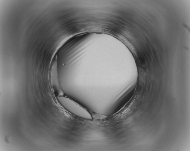 X0000097970956200804141048