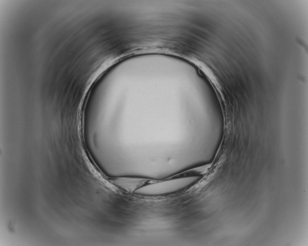 X0000097970957200804141048