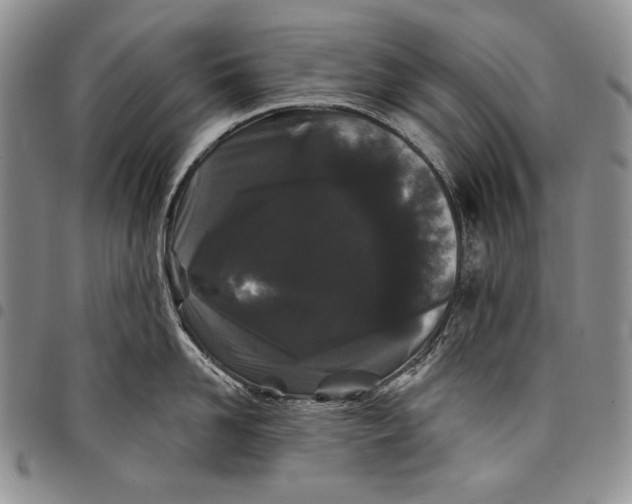 X0000097970958200804141048