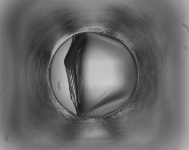 X0000097970960200804141048