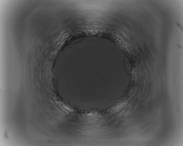 X0000097970961200804141048
