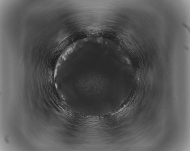 X0000097970964200804141048