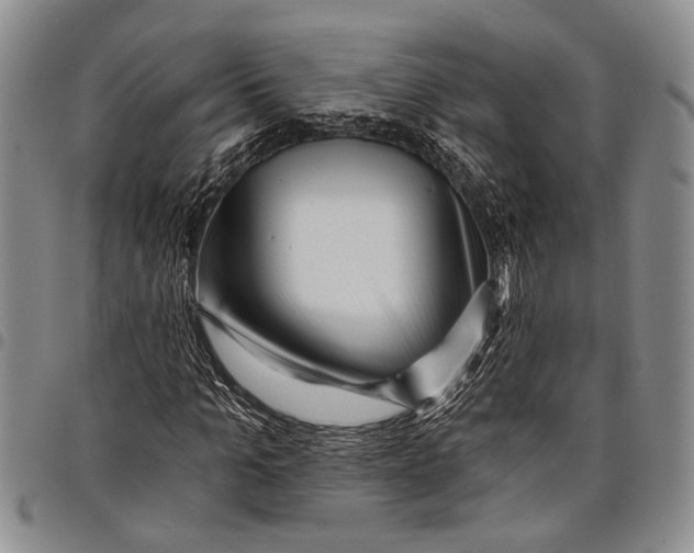X0000097970965200804141048