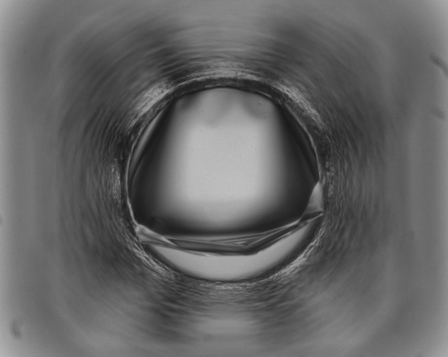 X0000097970969200804141048