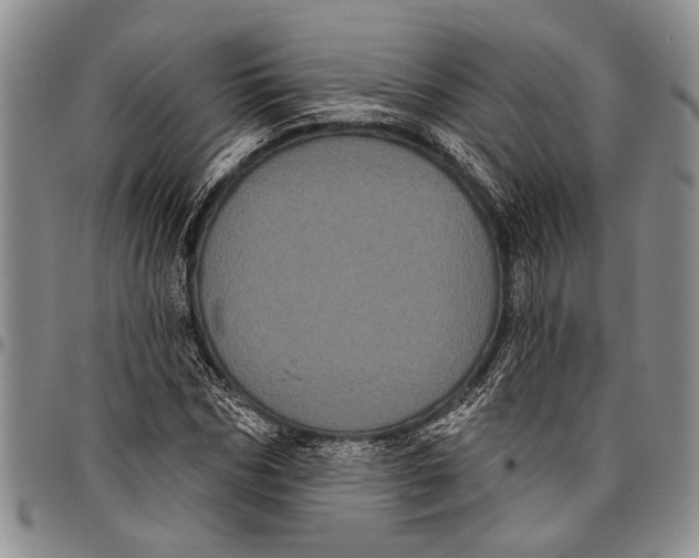X0000097970970200804141048