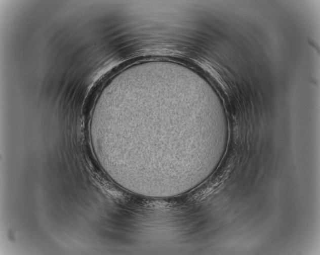 X0000097970971200804141048