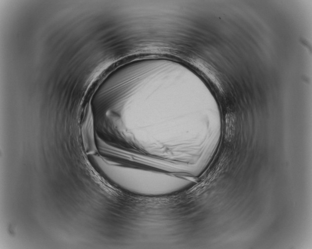 X0000097970972200804141048