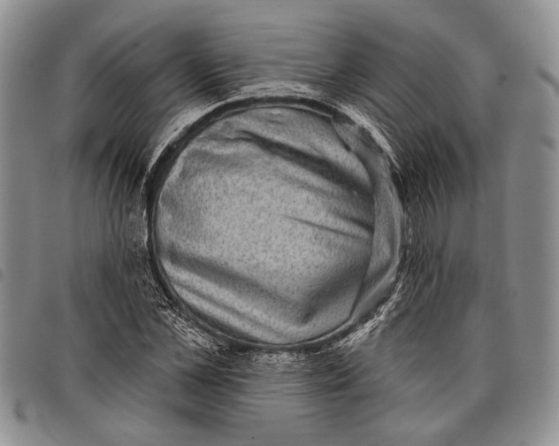X0000097970973200804141048