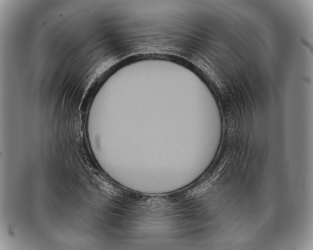 X0000097970974200804141048