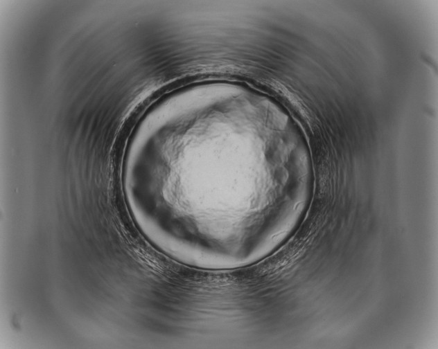 X0000097970975200804141048