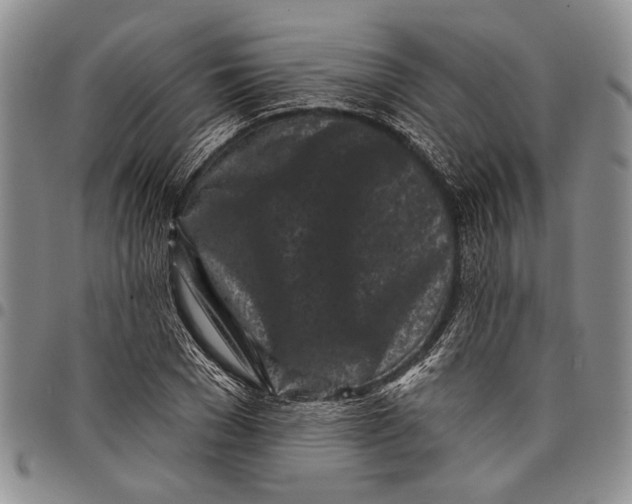 X0000097970977200804141048