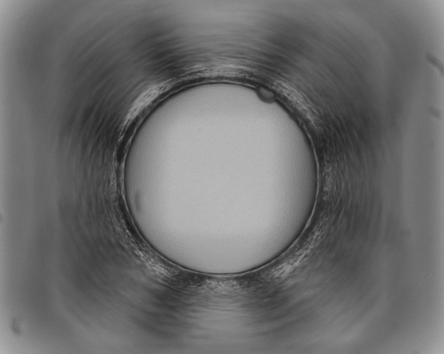 X0000097970978200804141048