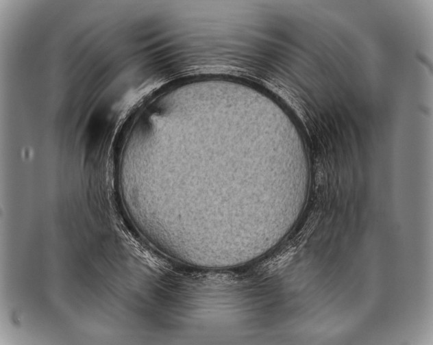 X0000097970979200804141048