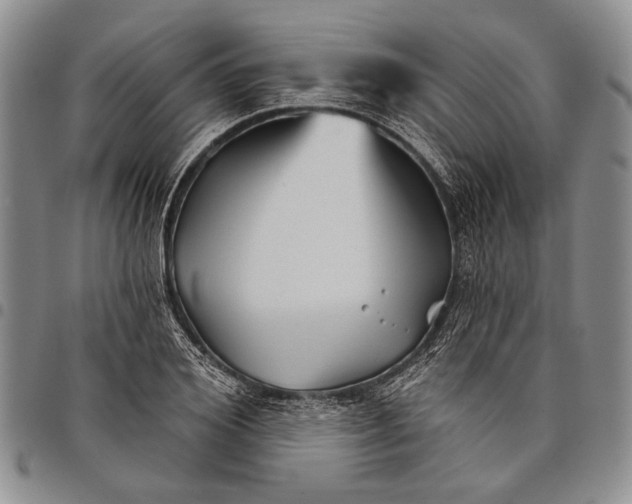 X0000097970980200804141048