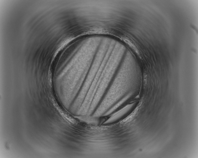 X0000097970981200804141047