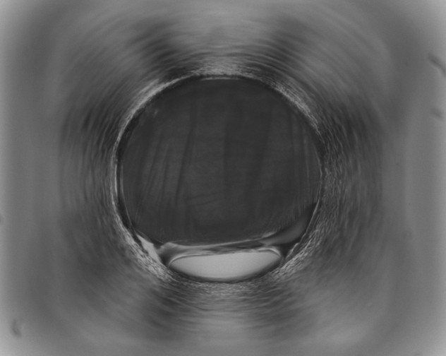 X0000097970984200804141047