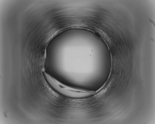 X0000097970985200804141047