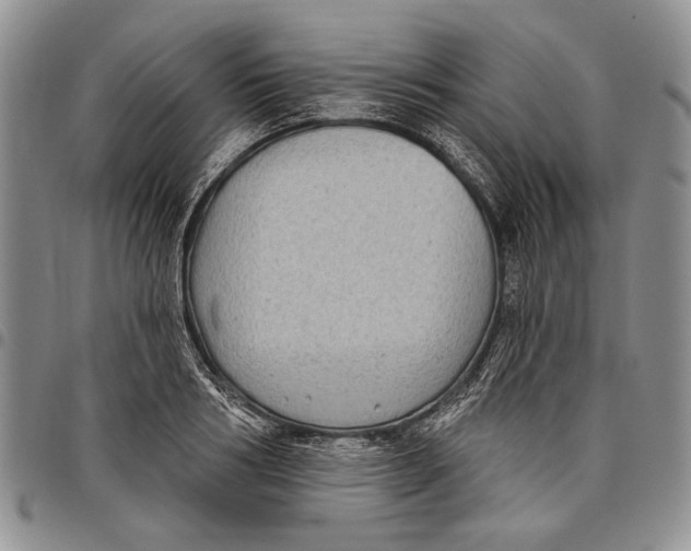 X0000097970986200804141047