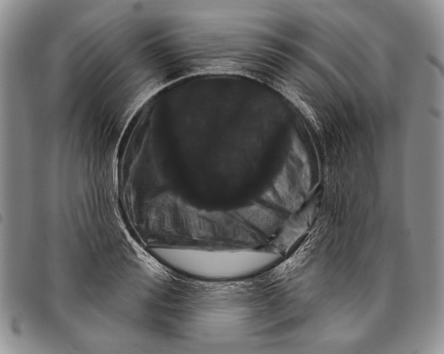 X0000097970988200804141047