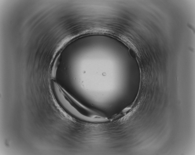 X0000097970989200804141047