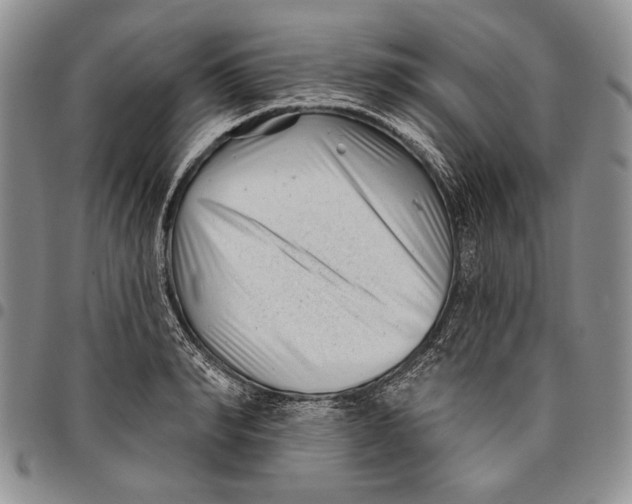 X0000097970990200804141047