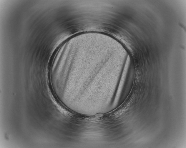 X0000097970991200804141047
