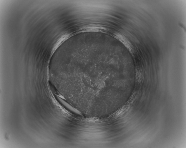 X0000097970994200804141047
