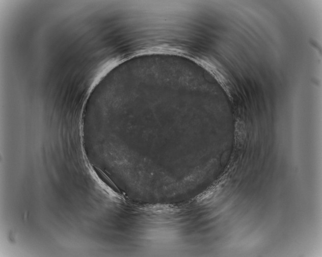 X0000097970998200804141047