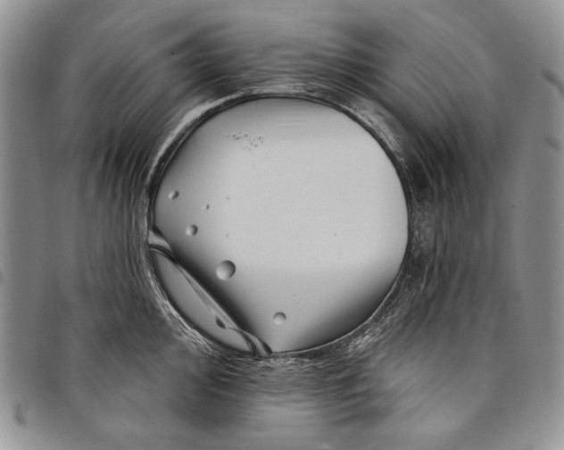 X0000097971000200804141047