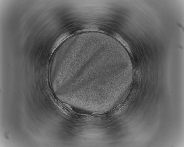 X0000097971002200804141047
