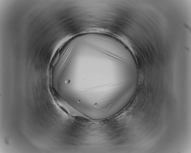 X0000097971003200804141047