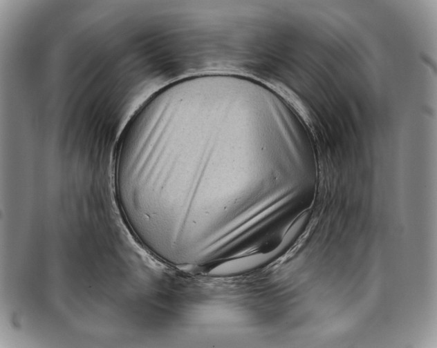 X0000097971006200804141047