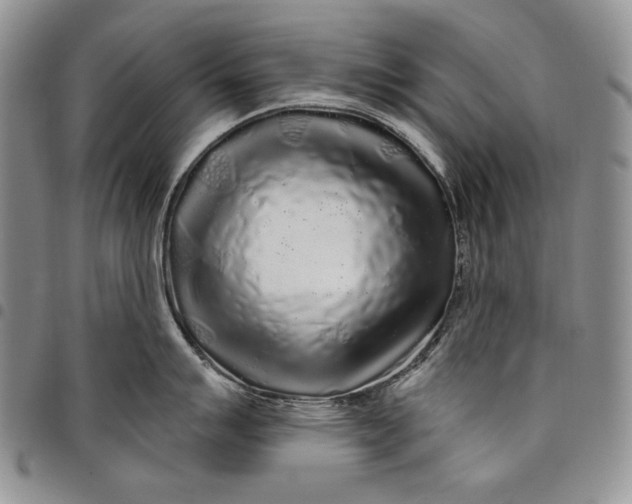 X0000097971007200804141047