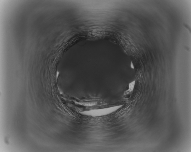 X0000097971009200804141046
